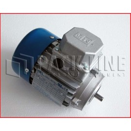 Motor Asíncrono Trifásico B14